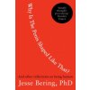 Why Is the Penis Shaped Like That? (Jesse Bering)(Brožovaná)
