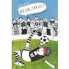 Daj gól, Carlos! - Július Belan