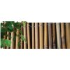 Rohož bambus 1,5x3