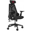 Herná stolička ASUS ROG Destrier Core 90GC01P0-MSG010