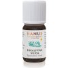 Eukalyptová silica Hanus – esenciálny olej pre aromaterapiu