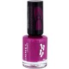 Rimmel London 60 Seconds Lak na nechty 8 ml 336 Violet En Vogue