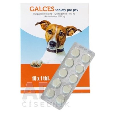 GALCES TBL 10X1 tablety pre psy 1x10 ks