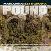 Marijuana: Let's Grow a Pound