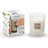 Esteban Paris Parfums NATURE – VINEYARD PEACH VONNÁ SVIEČKA 180 g