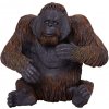Mojo Orangutan