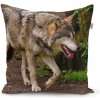 Sablio vankúš Vlk 60x60