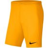 Kraťasy Nike Park III Knit Jr BV6865-739 - 122 cm