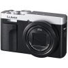 Panasonic Lumix DC-TZ99 strieborný