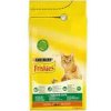 Friskies Indoor s kuracím mäsom a pridanou záhradnou zeleninou 10kg