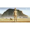 Komar Vliesová fototapeta Star Wars Classic RMQ Droids, rozměry 500 x 250 cm