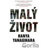 Malý život - Hanya Yanagihara