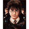 Maľovanie podľa čísel na ráme Harry, Ron, Hermiona