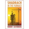 Shadrach in the Furnace (Robert Silverberg)(Brožovaná)