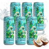 PRÍRODNÁ SÝTENÁ KOKOSOVÁ VODA Z MLADÉHO KOKOSU 320 ML COCONAUT V PLECHOVKE