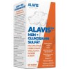 ALAVIS MSM + Glukosamin sulfát 60 tbl.