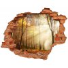Fototapeta diera na stenu 3D Hmla v lese 90x70 cm