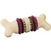 Busy Buddy Bristle Bone M