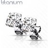 Steel Edge Titánové náušnice kôstky SET23ERD Priemer mm: 3mm