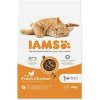 Iams Cat Adult Chicken 10kg