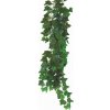 Hedera Helix - terárijná rastlina50 cm HapPet akvaritika