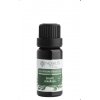 Nobilis Tilia Essential Oil - Sage officinalis 10 ml