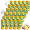 PRÍRODNÁ KOKOSOVÁ VODA Z MLADÉHO KOKOSU NEPERLIVÁ 320 ML COCONAUT ANANÁS