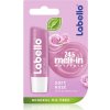 Labello Soft Rosé balzam na pery 4.8 g