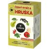 LEROS čajové posedenie, čierne ríbezle & hruška 20× 2,5 g
