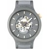 Swatch SB05M102