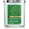 Bath & Body Works Stress Relief Eukalyptus Spearmint 227 g