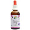 Salvia Paradise Kozinec blanitý AF tinktúra 50 ml