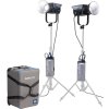 Nanlite FC-500B 2-Light Trolley Case Kit