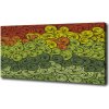 Foto obraz canvas Farebné vlny 100x50 cm