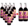 Aronia vom Langlebenhof 100 % BIO šťava z arónie - jarabina čierna, Demeter, 10 + 2x ZDARMA, 750 ml