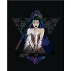 Zuty – Wonder Woman trojuholník, 40×50 cm, bez rámu a bez vypnutia plátna 8596530192763