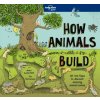 Lonely Planet Kids How Animals Build 1