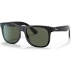 Ray-Ban RJ9069S 100/71 - (48-16-130)