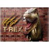 Obal PP s patentkou A4, T-Rex