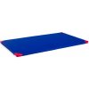 Gymnastická žinenka inSPORTline Roshar T90 200x120x5 cm modrá