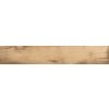 Dlažba Emil 20Twenty tronco 20x120 cm mat 542W3R 0.960 m2