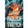 Zázraky padlých svätých - Stiefvaterová Maggie