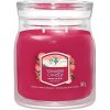 Yankee Candle Santa On Skis Signature 368 g