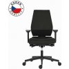Powerton ERGO SIMA Kancelářské ergonomické křeslo, Černé