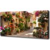 Foto obraz na plátne do obývačky Očarujúcá ulička 100x50 cm