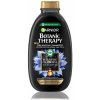 Garnier Očisťujúci šampón Botanic Therapy Magnetic Charcoal (Balancing Shampoo) 400 ml