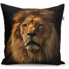 Sablio Vankúš Lev - 60x60 cm