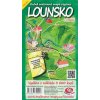 Lounsko