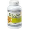 Kompava Tribulus terrestris 120 tabliet
