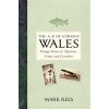 The A-Z of Curious Wales: Strange Stories of Mysteries, Crimes and Eccentrics (Rees Mark)